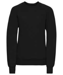 Alternative view of Kids Raglan Sleeve Sweatshirt