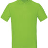 Orchid Green