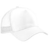 White/White