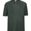 Bottle Green