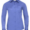 Corporate Blue