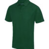 Bottle Green