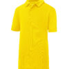 Sun Yellow