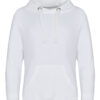 Arctic White