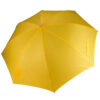 True Yellow