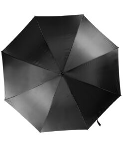 Alternative view of Automatic Umbrella