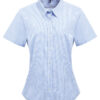 Light Blue/White