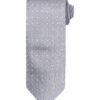 Silver/White