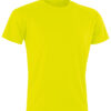 Flo Yellow