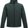 Dark Spruce/Black