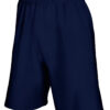 Deep Navy
