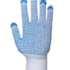 Blue/White