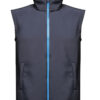 Navy/French Blue