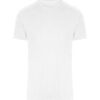 Arctic White