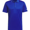 Collegiate Royal