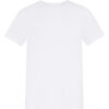 Arctic White
