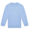 Lotus Blue