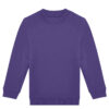 Radiant Purple
