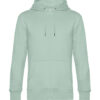 Aqua Green