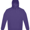 Radiant Purple