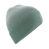Dusty Green Dip Dye
