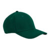 Bottle Green