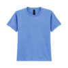 Carolina Blue