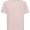 Powder Rose