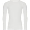 Arctic White