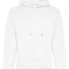 Arctic White