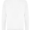 Arctic White