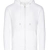 Arctic White