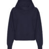 New French Navy