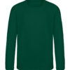 Rainforest Green