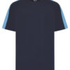 Navy/Sky