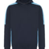 Navy/Sky