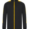 Black/Gold