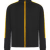 Black/Gold