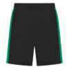 Black/Emerald