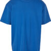 Cobalt Blue