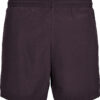 Plum Purple