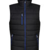 Black/New Royal