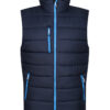 Navy/French Blue