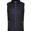 Black/New Royal