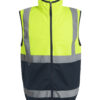 Yellow/Navy