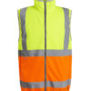 Yellow/Orange