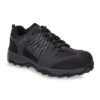 Black/Briar