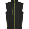 Black/Lime