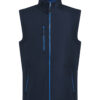 Navy/French Blue