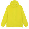 Lime Flash